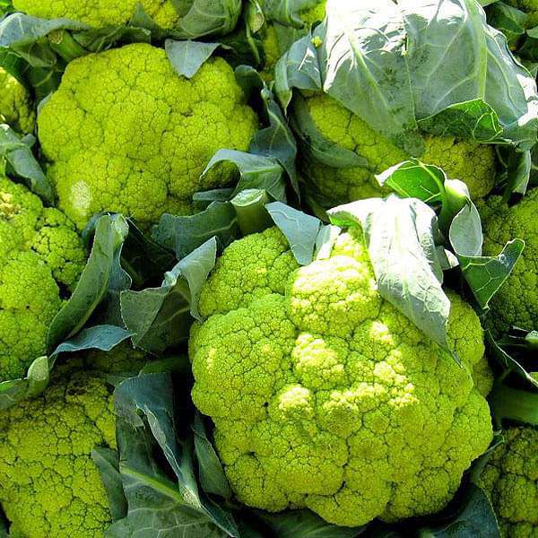 Cauliflower Green Verde Vegetable Seeds